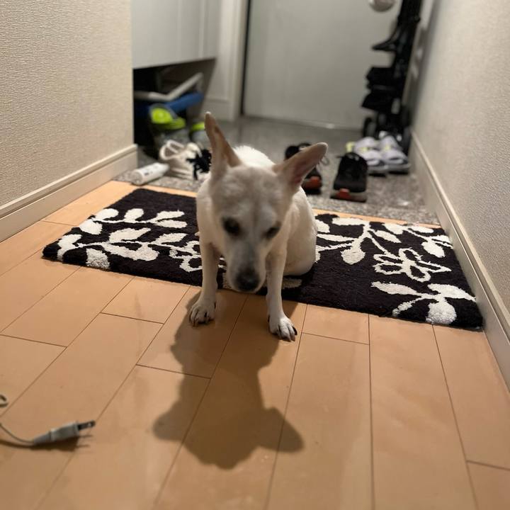 D4657eb6 0555 4b50 bac1 2838055b64b6 1699884096386