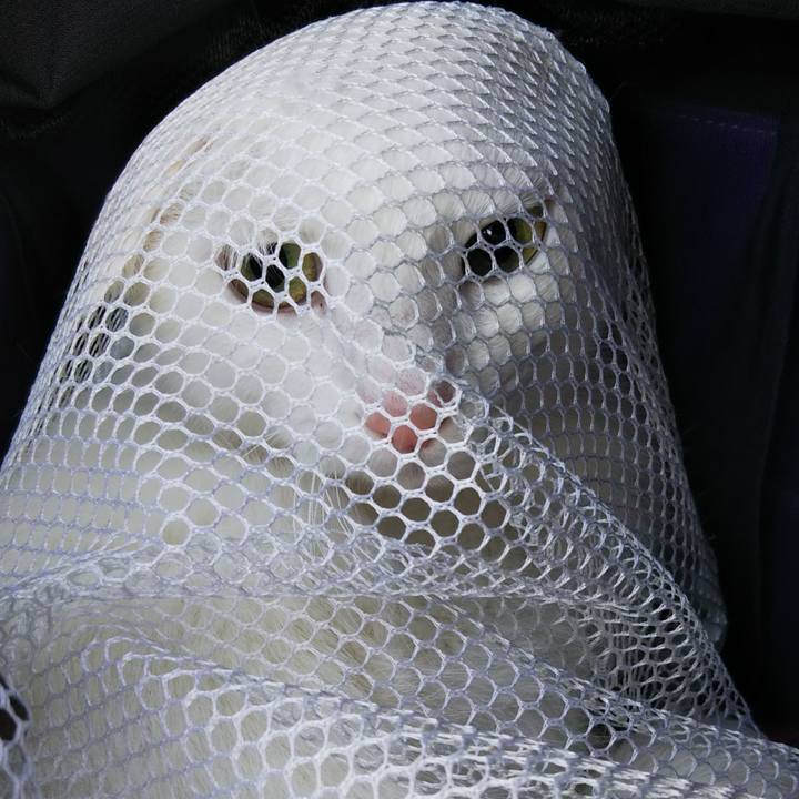 D466001d fef6 4485 ab3a 33521d0da5f3 1730938556617