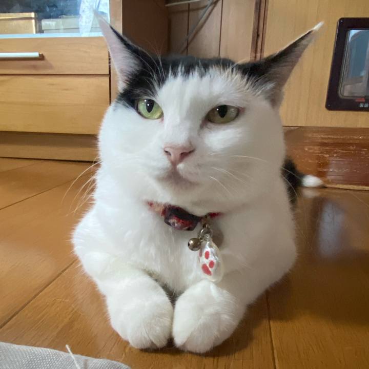 D466055b d080 4230 ae26 2e2fd4d1a8fb 1722937281137