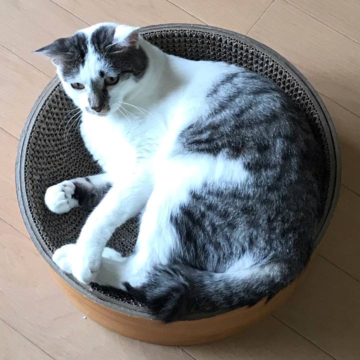 D4660e2c f4b3 4106 b63b 4d8ed5bb1740 1571886151128