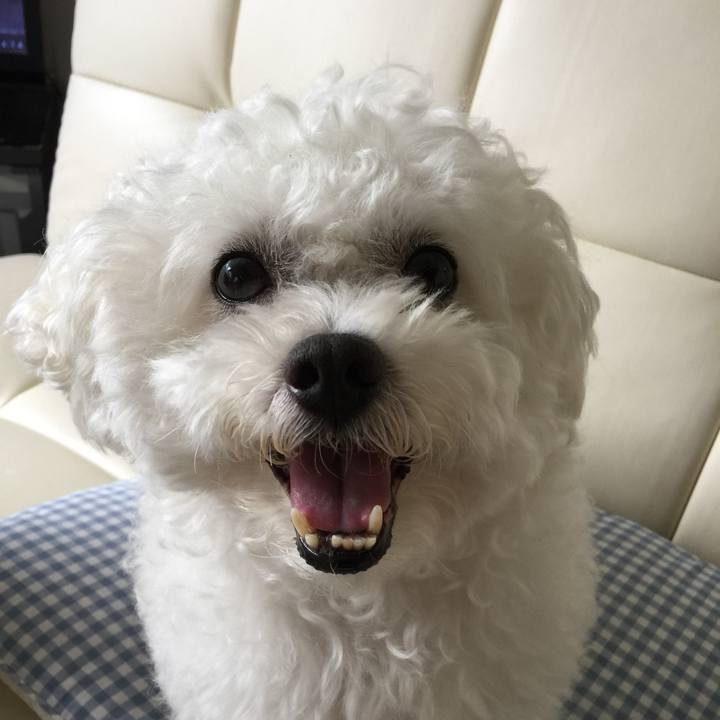 D4663938 61b0 442a 9131 40e64a8cad0c 1533991344842