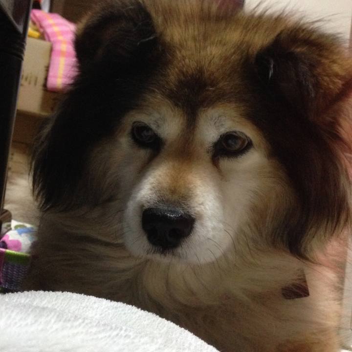 D4664a72 076a 4797 9f73 87dba02db4f7 1568459401064