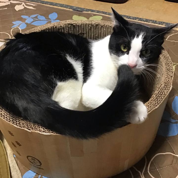 D4666a54 a645 4136 8bef feaf98bc2fc1 1732958042324