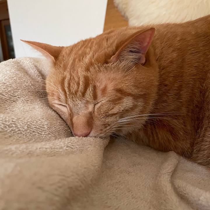 D466856a b0e6 4124 bd19 030ccdfbc4a6 1652831501033