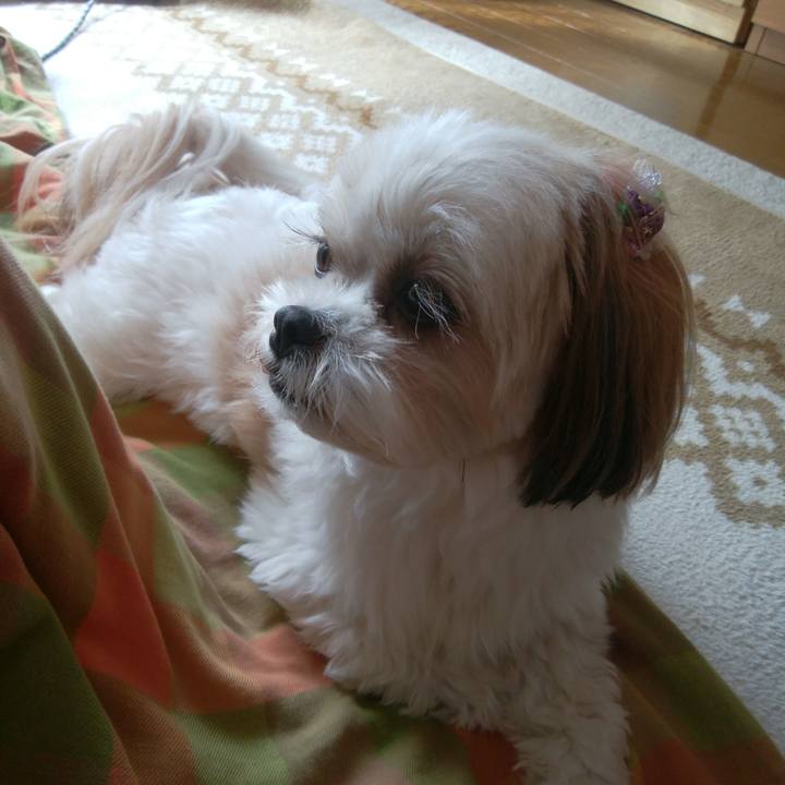 D4668904 a212 4adb 92ea 073103a01124 1519868220072