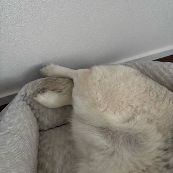 D4669120 8f97 4cfb bc96 d551c3c67185 1749810684194