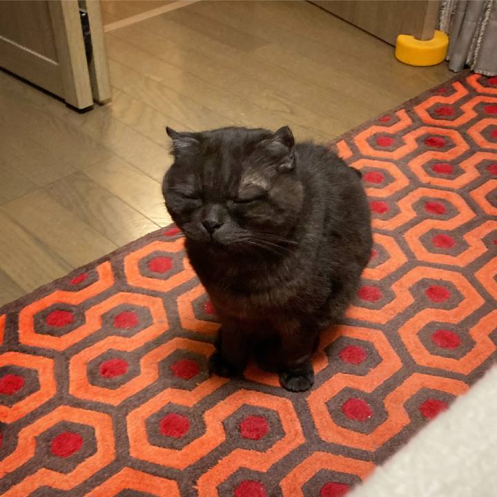 D4669667 4b3c 4bd4 87a9 7b0f0a20f555 1619941549928