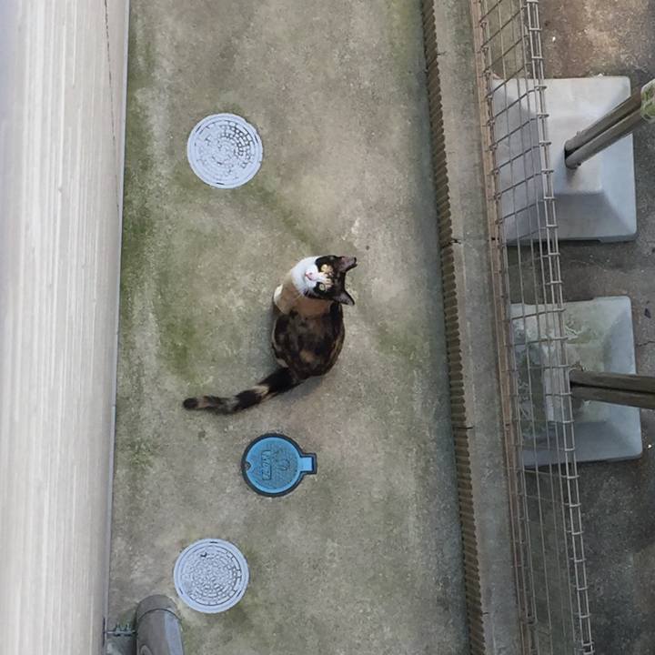 D466bce1 d002 4df4 a77d f22fb0047310 1531884938071