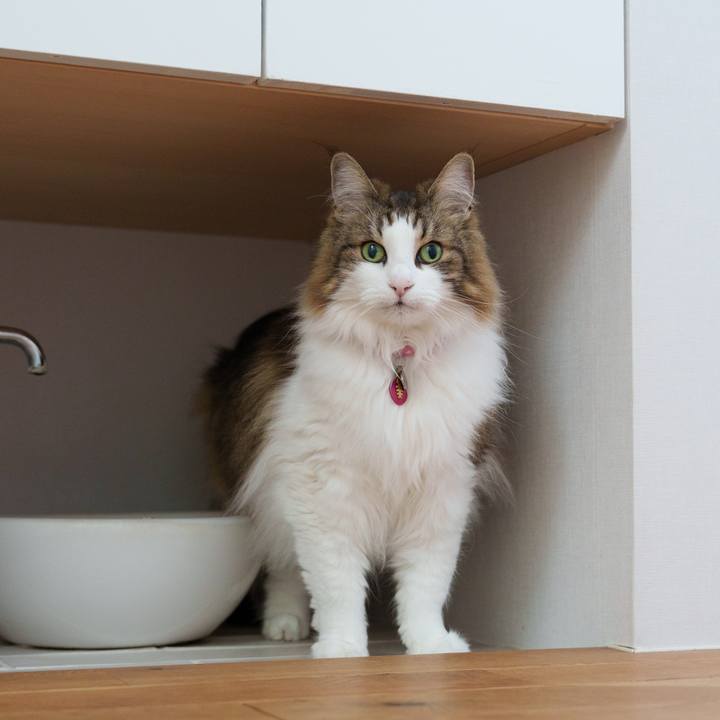 D466c76e 2e30 4de4 804e eea14d6bb756 1747119307531