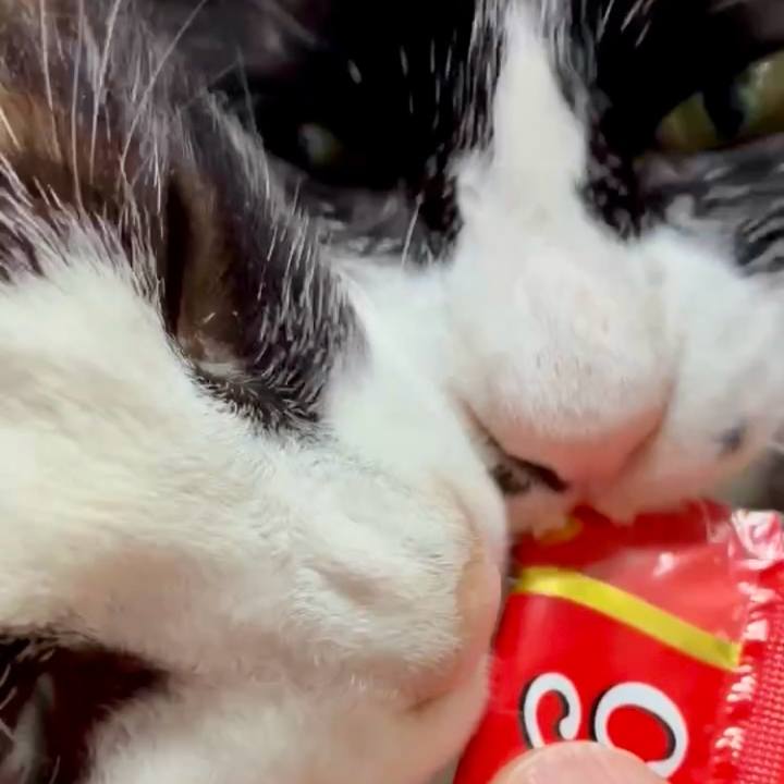 D466ee77 4667 48d7 b07f 3a60dc192858 1749693065984