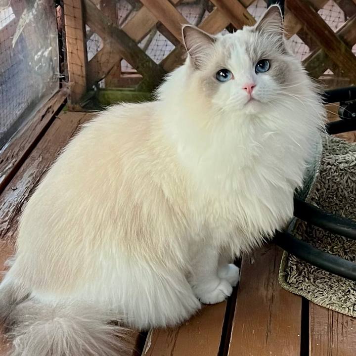 D466f7c1 e78b 4327 8331 9ac77f305e99 1697407108120