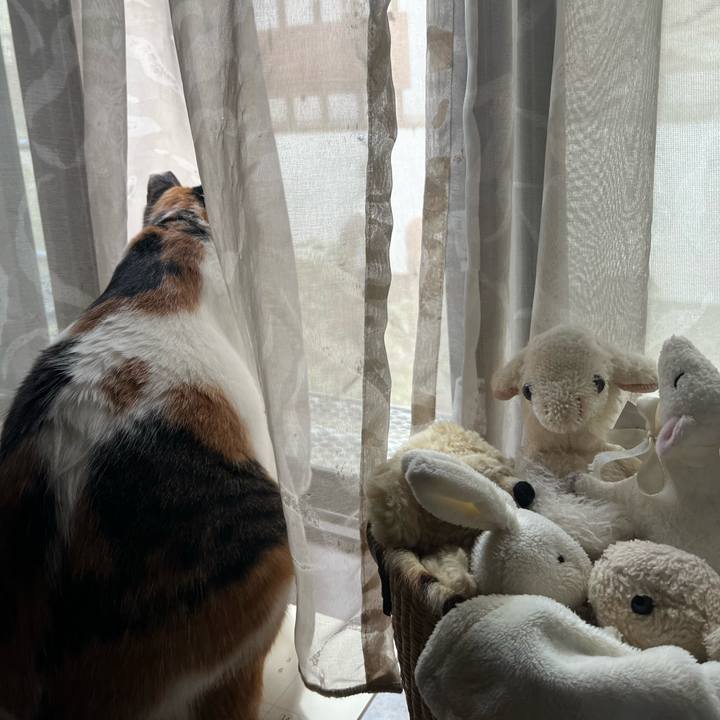 D4676261 e5eb 495b 82fe 9fe261db6b4b 1756807173730