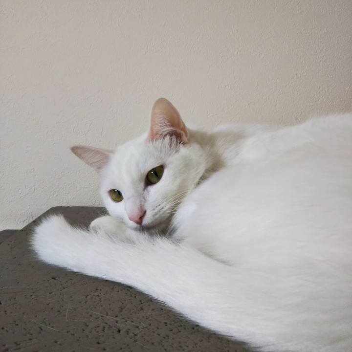 D467630c 68f7 4bd1 8ea7 33c5beea97ad 1626897253985