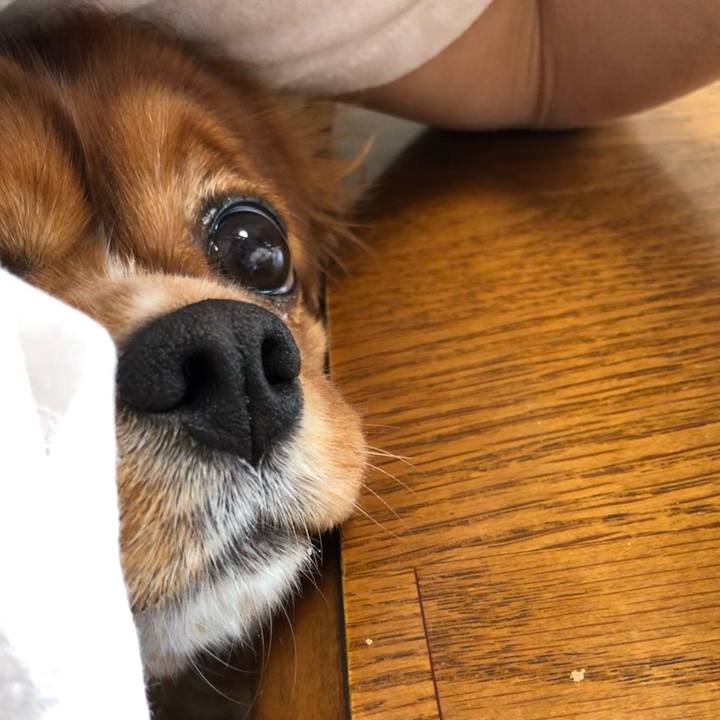 D468074a a90c 4348 aa4c 34003a14e024 1622846097925