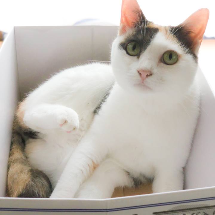 D46823f5 e135 4495 a842 c5c38937dd27 1565921253266