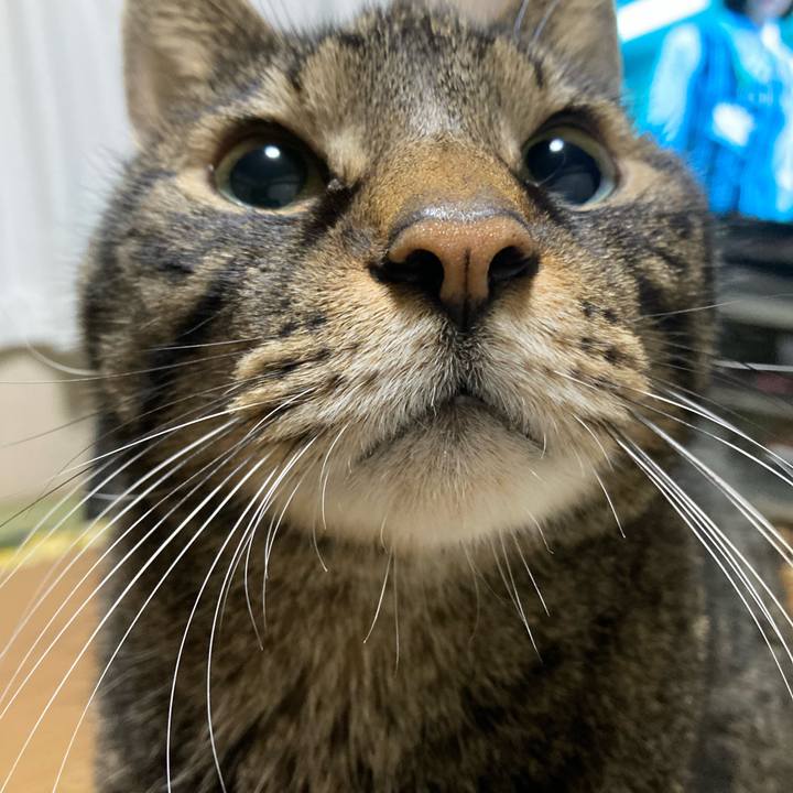 D468454d 674a 4960 ba9a 37c9d5e4194f 1706268804929