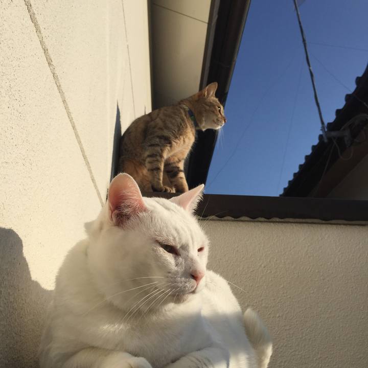 D468630c 9b83 4334 a913 d6bc76d9eb7e 1510182130428