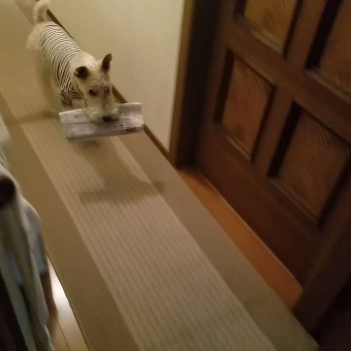 D468b6e6 565e 4c0e 85f2 8f74ca55e986 1580734231936