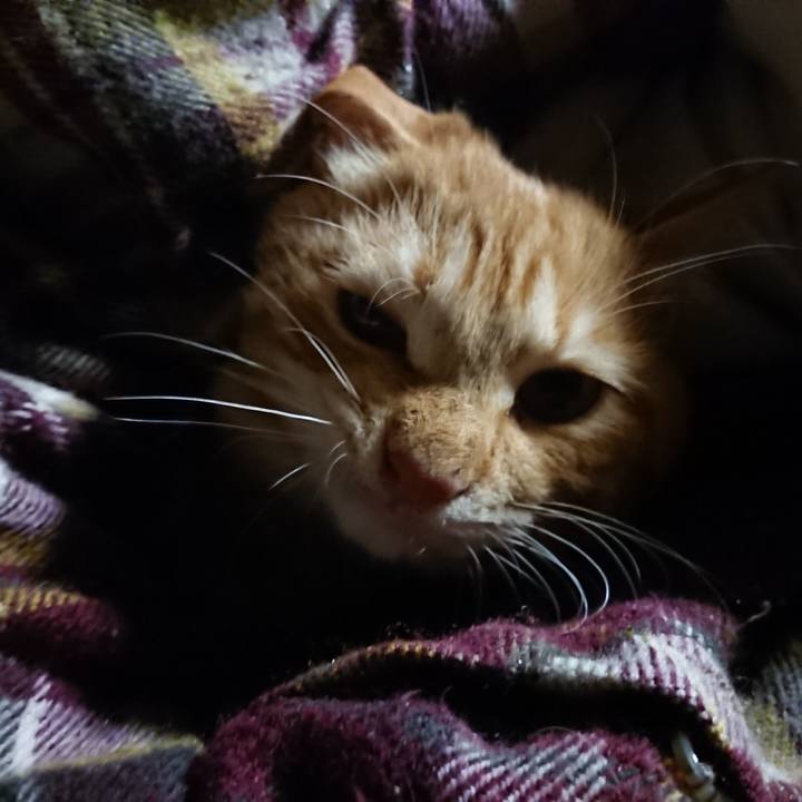 D468ca02 afcc 408c 89cc 0b60bf05ed6e 1639514476285