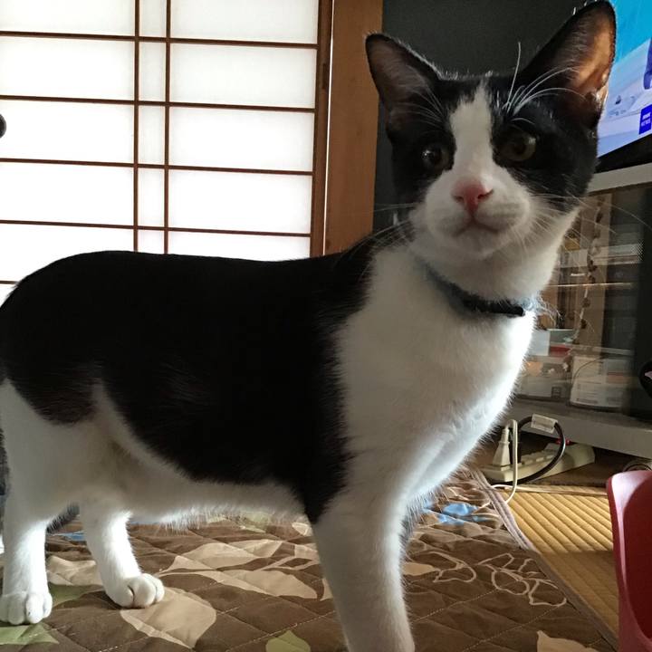 D468f045 0278 46b1 bf8c 737101aaed6a 1633410776355