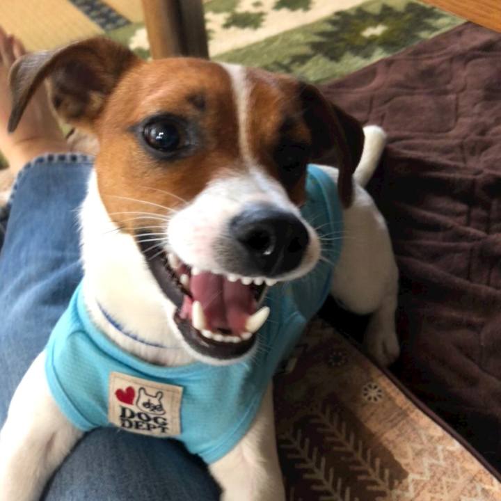 D4690023 4cff 4f3a 888e 260a2633bb64 1530324089717