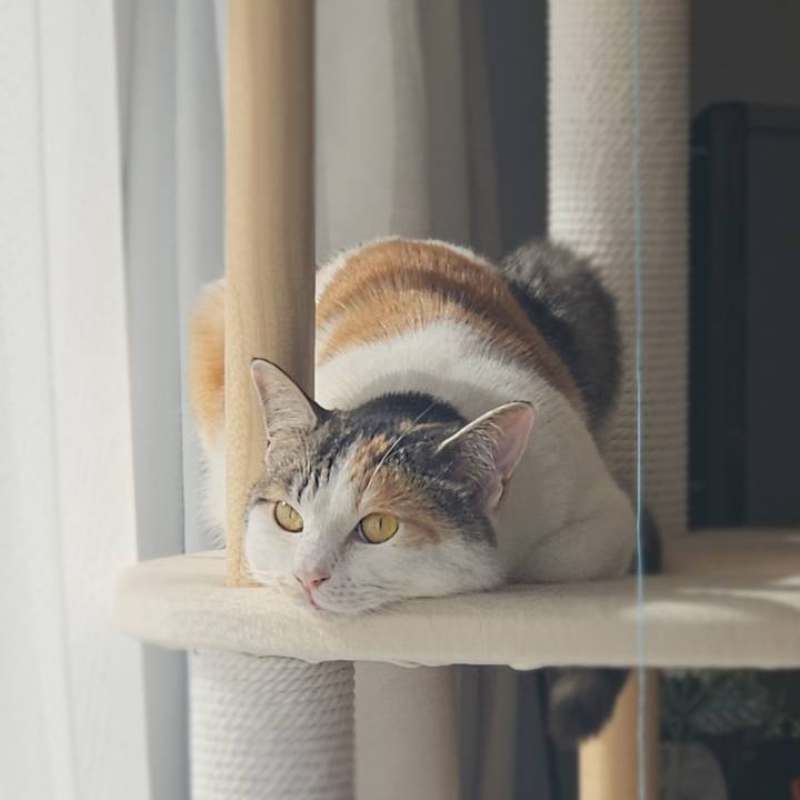 D4692045 a3da 40b6 b97d c3a357db9fe2 1771153444703