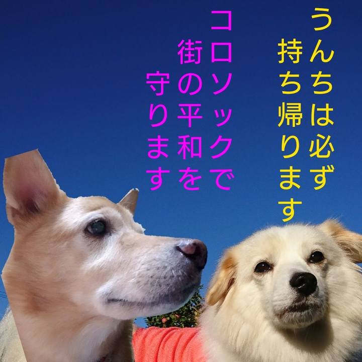 D469708d abb0 46de 997d 9c46ed5fa670 1540086349367