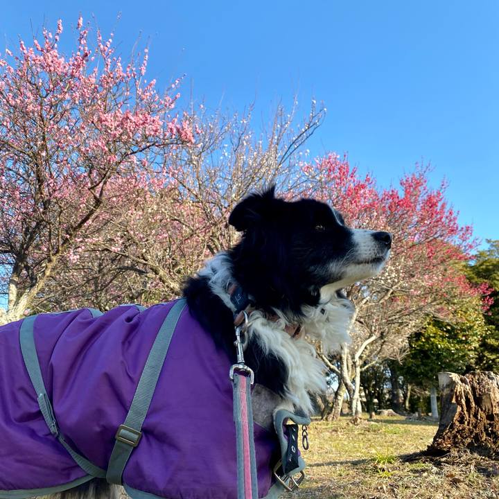 D469dd2f d596 4d0e abc1 54225b0114a8 1677025368353