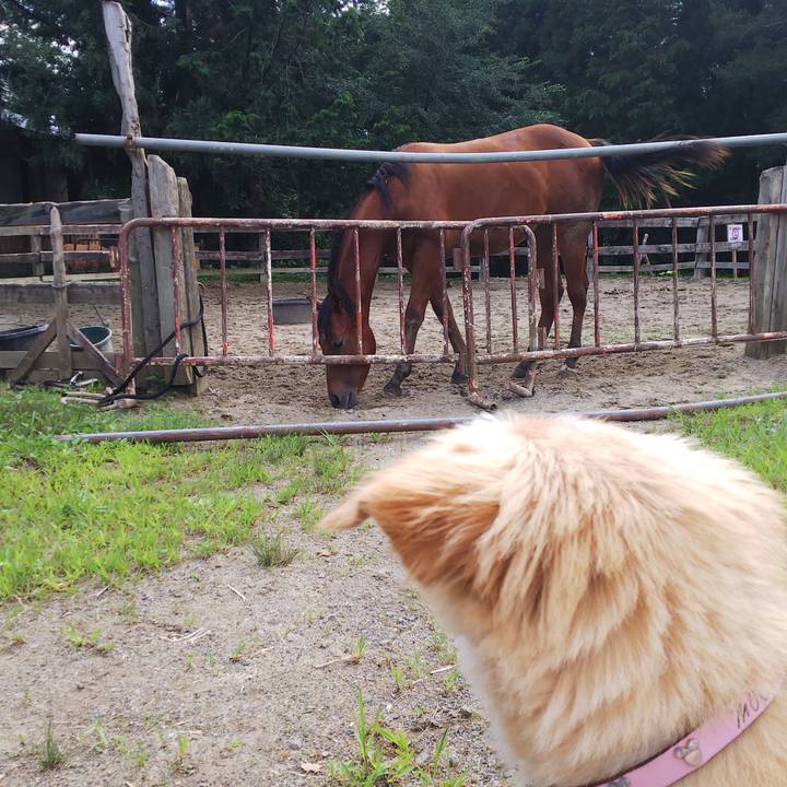 D469ddc6 59f0 4da4 b8ba beada5419533 1563873517797