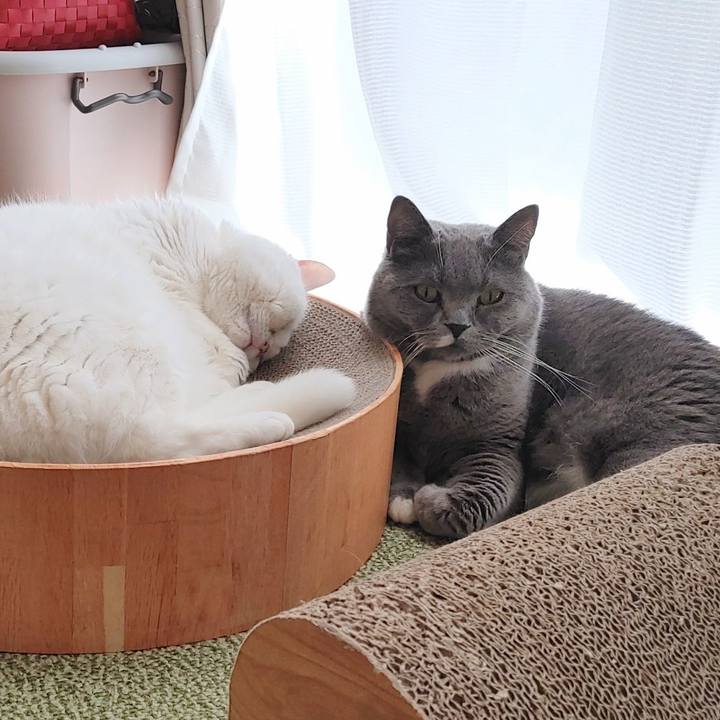 D469f322 ac8b 4ba7 9e9c 165f6603b90c 1637968802813