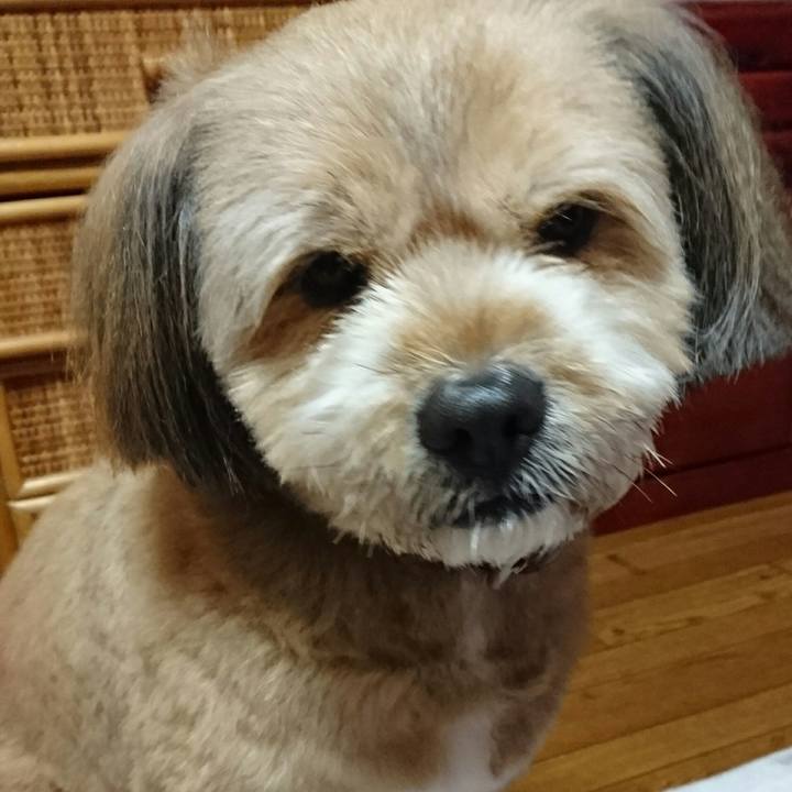 D469ff20 2c03 4846 b237 4585850995f3 1514541707691