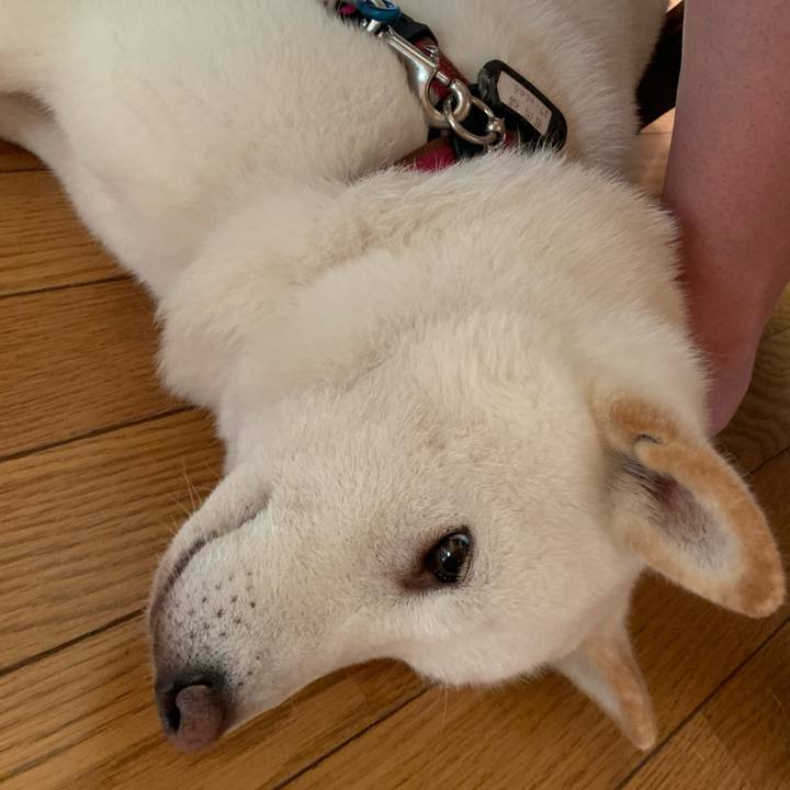 D46a6c08 277a 4456 b5d4 6a4d4d88acde 1595131241988