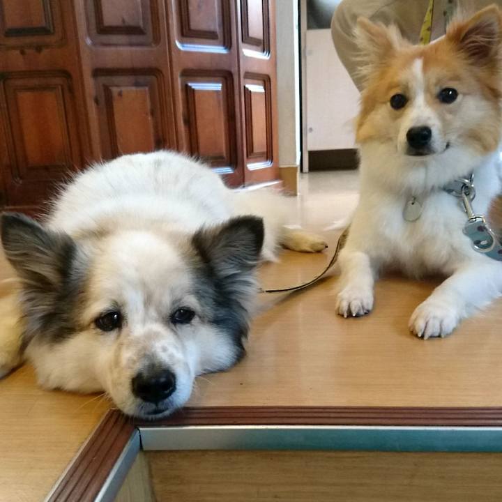 D46a8e77 b686 49ce 94af fffed3188940 1526128653554