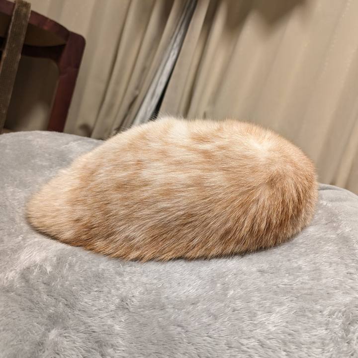 D46aa3c5 0336 4652 ae56 c7bc76df90a2 1698067498967