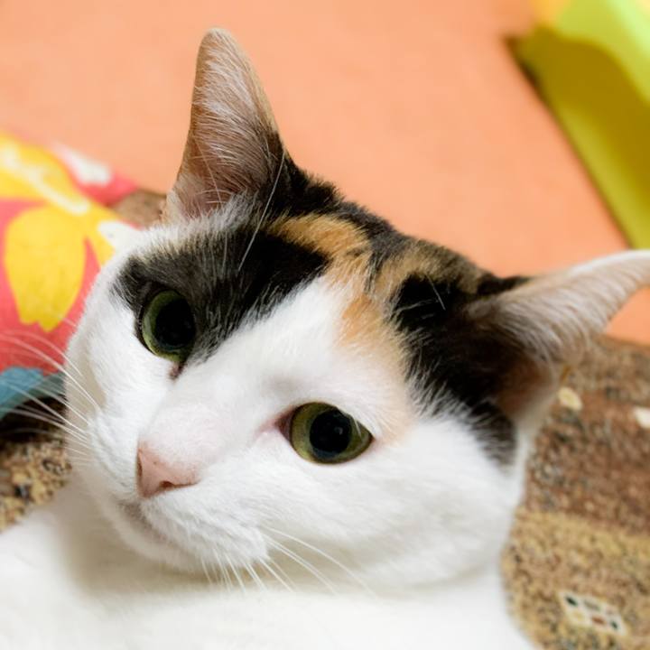 D46abe27 4b90 43f0 a730 3aa06e6a7d5d 1590456786595