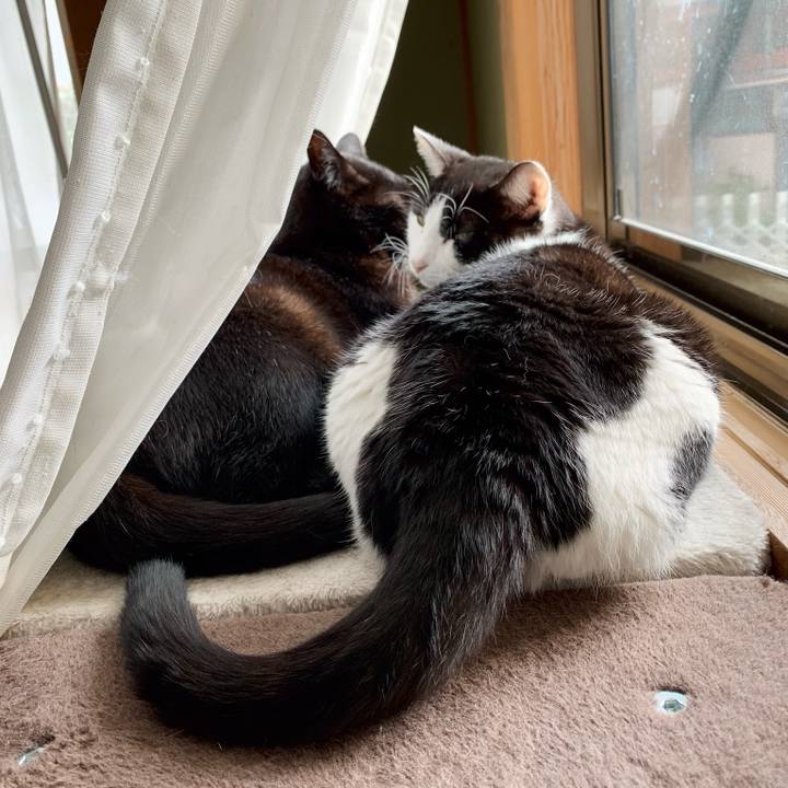 D46abfe5 6c8f 433d b3f9 6a7f942b5c94 1543803896022