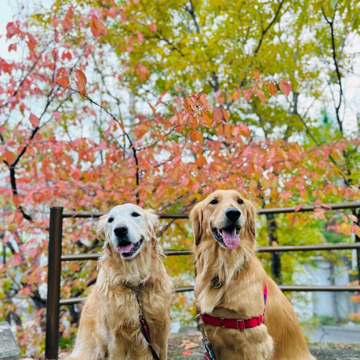 D46b34df c6a5 4ea0 b4ed b5b8569cab1f 1762427939801