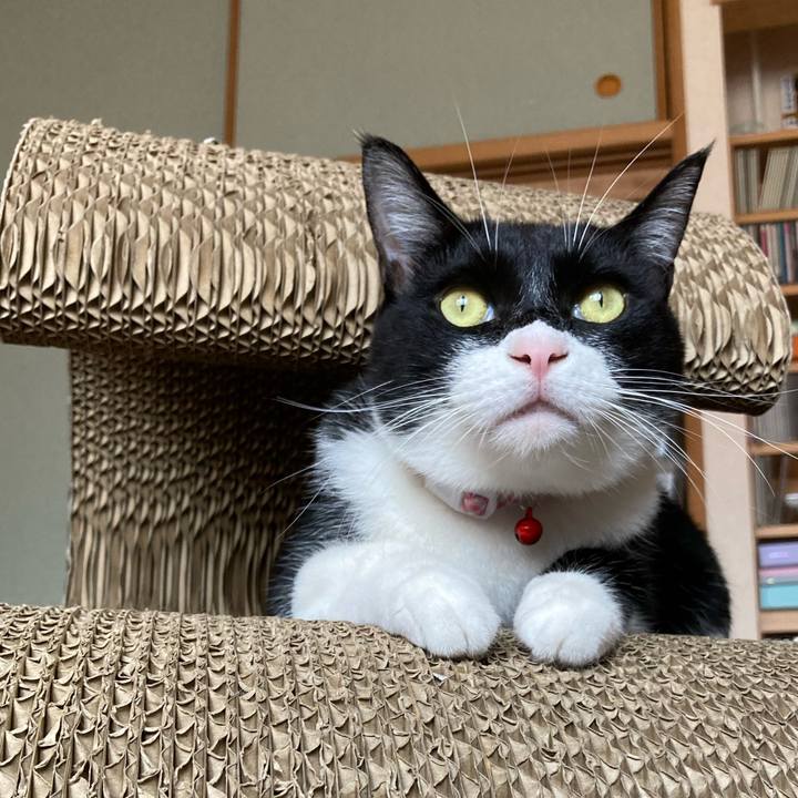 D46b354b 8964 4e19 8f03 3a499957518a 1621658779747