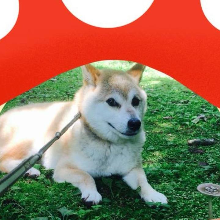 D46b4466 fa70 46c3 b3c3 4dd180ae1b2d 1736777258698