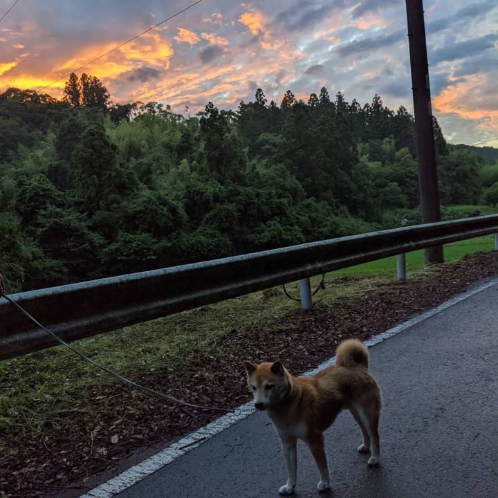 D46b889b e337 4bf2 b10b 9356ff34432f 1623928138054