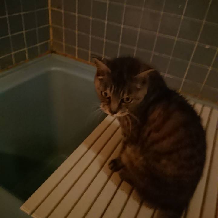 D46bdc06 d467 49f9 89b6 3090924c5c01 1570008951691