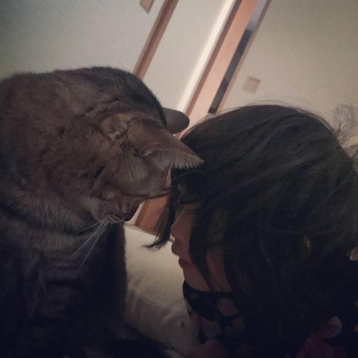 D46c09cd 884a 41f5 8219 05d949198c1c 1592964532946