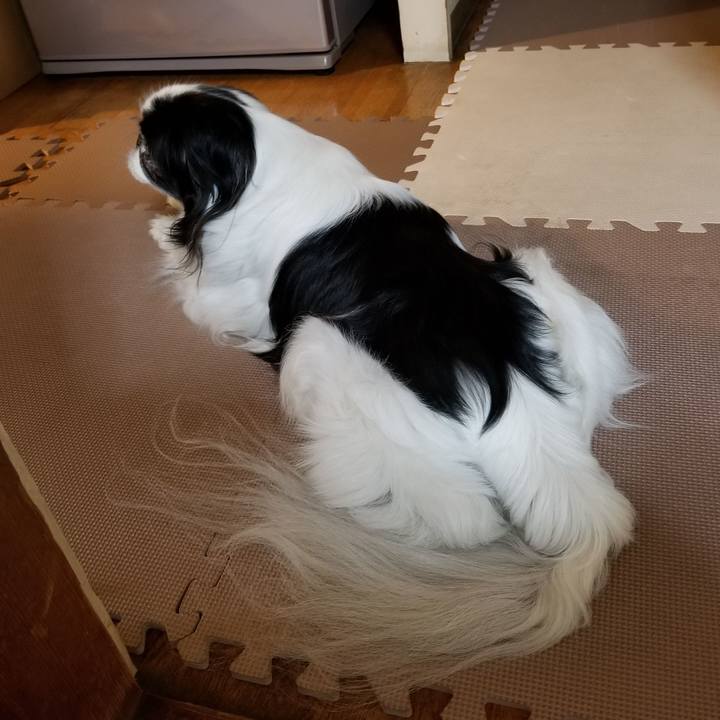 D46c0c12 b04f 4161 85b0 cc36133ebd18 1552213117671