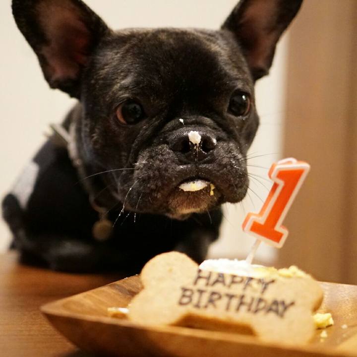 D46c14ff 2b4f 4146 84d0 855950b5ca4a 1507550555978