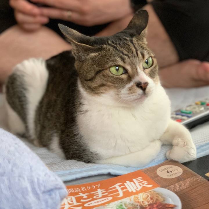 D46c318e fe21 4543 995b 33a247188015 1591493239567