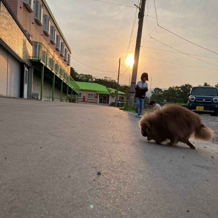 D46c5918 377c 442e bb42 fd86f83445e0 1720225934063