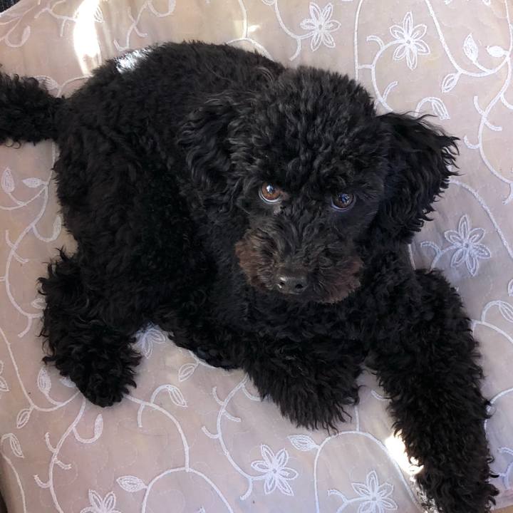 D46cf45b 39e4 4b35 a3dd 1e57a4c11ab6 1549160998563