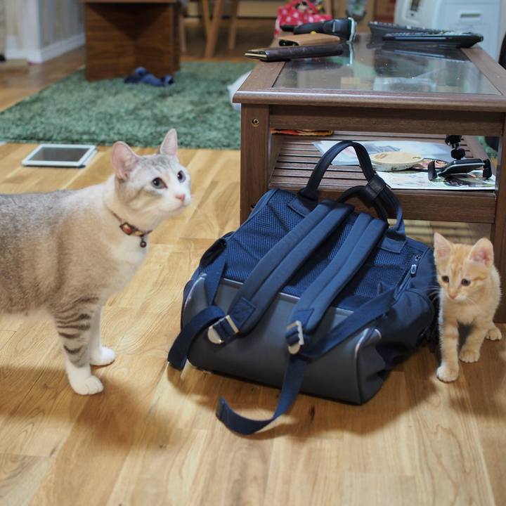 D46d4846 f2ca 4a64 a618 aecc541066c0 1573549213783