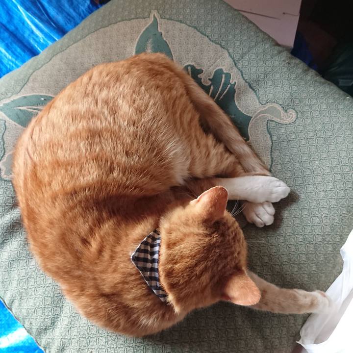 D46d4ac8 9582 43a0 8cf0 e51e5f8e11f5 1570348309604