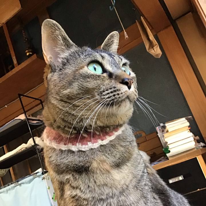 D46d5832 1659 47e1 961c b20c26456f0b 1714727187349